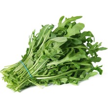 Aydogan's Roka Tohumu 10 gr