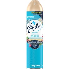 Aerosol Okyanus Sessizliği Oda Kokusu 300 ml (1 x 300 Ml)