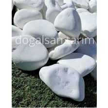 Dolomit Taş 4 kg 6-10 cm Dere Taşı Çakıl Taşı Saksı Taşı Akvaryum Teraryum Taşı Bahçe Taşı