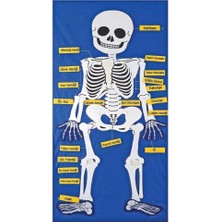 Vera Vtc AND-9150 Cırtlı Iskelet Pano 5119 965874