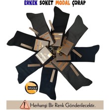 Ang Butik Mısırlı 62900 Erkek Organik Modal Soket Çorap