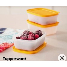 Tupperware Alaska 3 Adet 450 Ml.