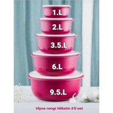Tupperware Miksim 5 Li Set.
