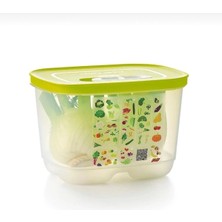 Tupperware Sera 1.8 Dik buzdolabı yeşllik saklama kabı