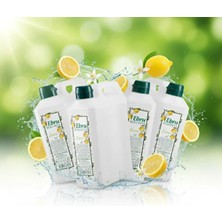 Ebru Limon Kolonyası Bidon 1 Lt 4 Adet
