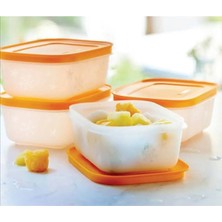 Tupperware Alaska 4lü Set 450ML