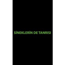 Çıra Yayınları Sineklerin De Tanrısı