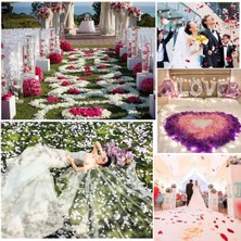 Skygo Ramia Premium | Beyaz Renk Gül Yaprağı Şekilli Konfeti 5 Paket 500 Adet | TG-HB-2026