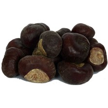 At Kestanesi Meyvesi Doğal 1000 gr Paket