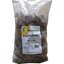 Doğal Böğürtlen Kökü 1000 gr Paket