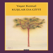 Bucuks Kuşlar Da Gitti