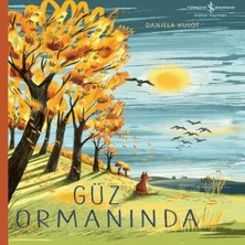 Bucuks Güz Ormanında