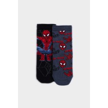 DeFacto Marvel Spiderman 2'li Pamuklu Uzun Çorap Erkek Çocuk E5167A8NS