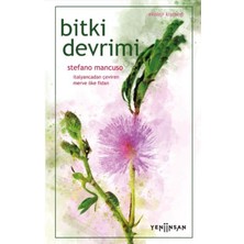 Bucuks Devrimi