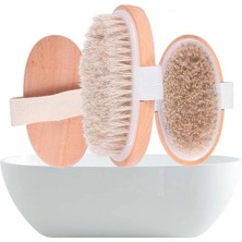 Epilons Doğal At Kılı Selülit Fırçası (Oval) Parlak Pürüzsüz Görünüm Sağlayan Cilt Bakım Seti