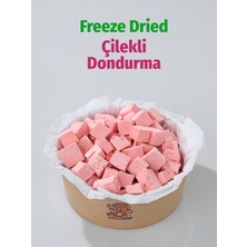 ÇITLAT ÇEREZ SHOP Çilekli Astronot Dondurması Freeze Dried Çıtır Dondurma 200 gr