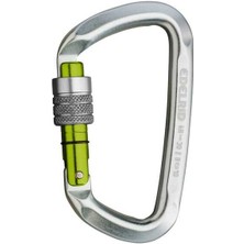 Edelrid D-Classic 3000 Screw Silver Karabina
