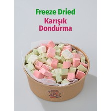 ÇITLAT ÇEREZ SHOP Karışık Astronot Dondurması Freeze Dried Vanilya Çilek Antep 200 gr