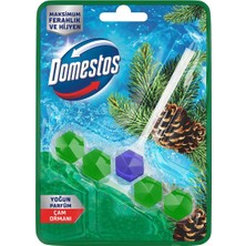 Domestos WC Blok Yoğun Parfümlü Çam Ormanı 50g
