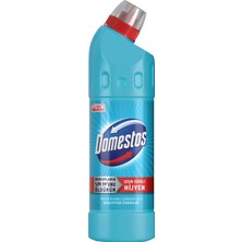 Domestos Yoğun Kıvamlı Çamaşır Suyu Okaliptüs Ferahlığı 750 ml