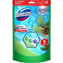 Domestos Tuvalet Bloğu Çam Ormanı 5'Li Güç 250 G