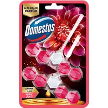 Domestos Aroma Lux Tuvalet Bloğu Yıldız Çiçeği 100g