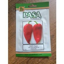 Paşa Tohumculuk Biber Tohumu Yalova Yağlık 5 gr