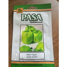 Paşa Tohumculuk Biber Tohumu Kandil Dolma 5 gr
