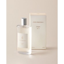 Madame Coco Répertoire Cam Şişe Kolonya 200 ml