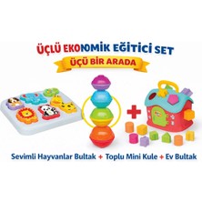 Denapcal 3’lü Bebek Gelişim Seti Toplu Mini Kule + Sevimli Hayvanlar Bultak + Bul Tak Puzzle