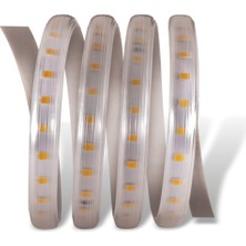 25 Metre Cata Ct 4551 Dış Mekan 120 Ledli Şerit LED 220V Mavi Işık
