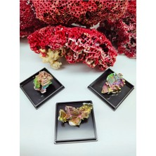 Zodyak Doğal Taş Dekoratif Doğal Ham Bizmut Taşı (Sertifikalı)