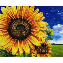 Elegantshop 5d Yapışan Boncuk Mozaik Tablo 30*40 cm PNXX01