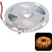 Ayt Zmr ZMR-601 3000K 12 Volt Tek Çipli 2835 Iç Mekan Silikonsuz 60 LED 5 Metre Şerit LED