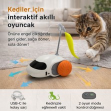 Nunbell Kedi Oyuncagı Hareketli Araba