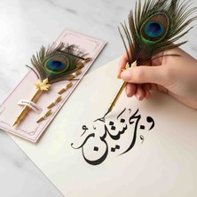 Wolawood Meşk Serisi Hakiki Tavus Kuşu Tüyü 5'li Yedek Uç Kalem Hat Sanatı Divit Kaligrafi Seti Tüylü Kalem Takımı