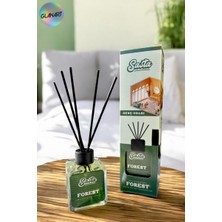 Glanart Sasta 100 ml Saten Çubuklu Bambu Ortam Kokusu  Genç Odası (Forest)