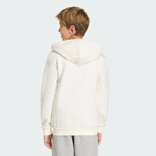 Adidas Sportswear KD4395 SEASONALS COLLEGIATE TYPOGRAPHY HOODY