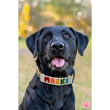 Chic Shoppine Köpek&kedi Kolyesi El Yapımı