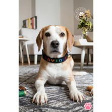 Chic Shoppine Köpek&kedi Kolyesi El Yapımı