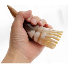 Sorendy Sığır Boynuzu Meridyen Masaj Tarağı KT-160 Gua Sha Ince Dişli Kafa Derisi Kemik Tarak