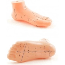 Ethab Ticaret Ayak Akupunktur Bölgesi Maketi