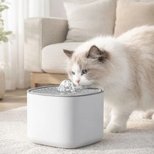 Dugie Lotte Kedi Su Pınarı - Aktif Karbon Filtre