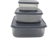 3'lü Yatay Füme Renk Saklama Kabı ROYALEKS-VİV-OX258