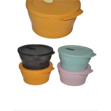 Mikrodalga Saklama Kabı Gusto 2 Lt. ROYALEKS-ÇNK2287