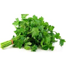 Maydanoz Tohumu 25 gr