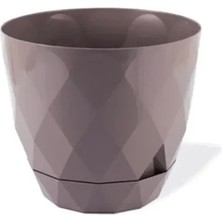 2 No Yakamoz Saksı 1 Adet ROYALEKS-KRS-452