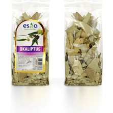 Poşet Okaliptus Yaprağı 40 Gr.