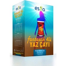 Fantastik 4 Lü Yaz Çayı 45 Li.