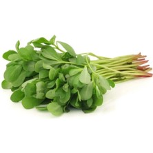 Semizotu Tohumu 10 gr